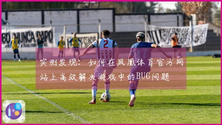 实测发现：如何在凤凰体育官方网站上高效解决游戏中的BUG问题