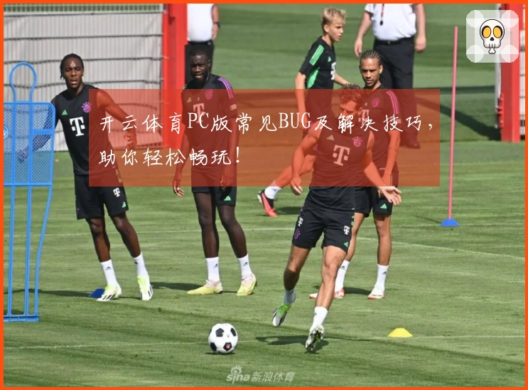 开云体育PC版常见BUG及解决技巧，助你轻松畅玩！