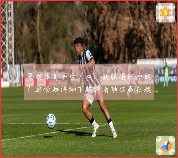 易游体育平台入口：新服爆肝冲级？这份超详细下载指南助你赢在起跑线！